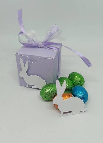 Lapin avec ruban